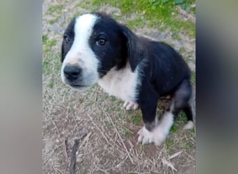 Terje sucht Traumzuhause!