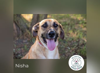 Nisha – Frohnatur