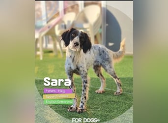 Sara – Zarte Seele sucht leises Glück