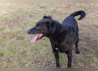 Gonza – Bewegungs-Fan sucht Nähe