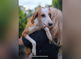 Annie sucht Traumzuhause!