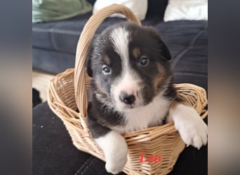 Sie sind endlich da 4 Mädels und 5 Jungs