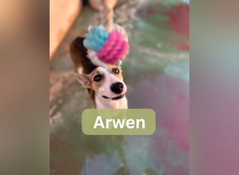ARWEN