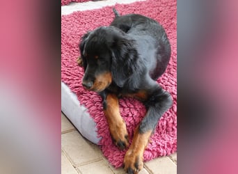Die liebenswerte anschmiegsame Sheila sucht Lebenspartner