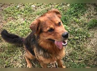 Milo – Harte Schale, weicher Kern