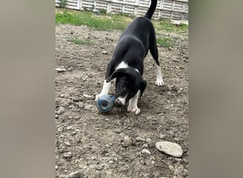 Zauberhafte Kayla ist bereit!