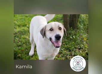 Kamila: Ruhige, liebe Seele