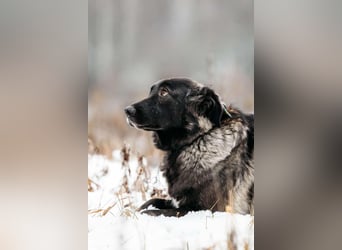 Vorsichtige Tama sucht ihre Familie