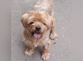 CHARLIE-HATTE EIN ZUHAUSE