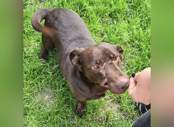 Miki ein Beast der Beauty sucht
