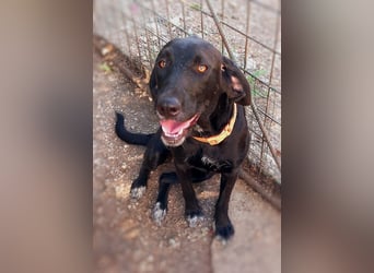 Prugna - RESERVIERT - Black Pearl, jung, neugierig aufgeschlossen