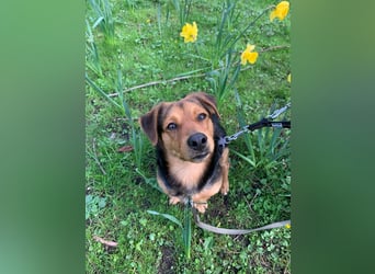 Sonnenschein Aiko wünscht sich seine Menschen