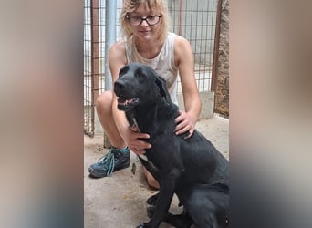 FATIME-ZUHAUSE GESUCHT
