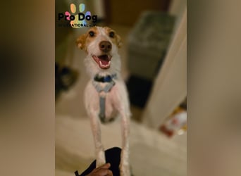Lilo, einfach zum verlieben
