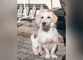 Amani sucht ihre aktive Familie