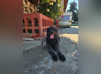 Ein neues Glück für Senior OTTO