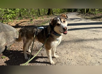 Akani, auf Pflege in Bottrop/NRW