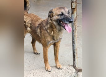 Kuckuck, zauberhafte NISHA sucht liebevolle Familie