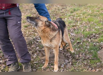 Peppie, lässt gern mal die Ohren hängen!