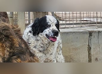 Lola - wenn du sprechen könntest ...