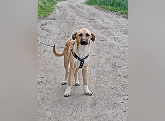 Abby,  möchte mit Dir Neues entdecken