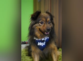 Buddy-SR, möchte dein Freund werden