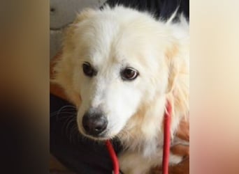 Calista - Nach 10 Jahren Haft endlich ein Zuhause, bitte