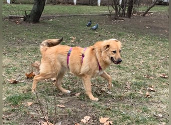 Sally sucht ein liebevolles Zuhause