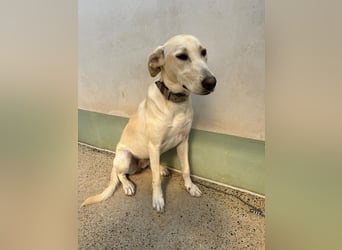Lilly – sensibel, aktiv, besonders. Wer gibt ihr diesmal die richtige Chance?