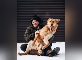 Total verschmuster Traumhund Yeti❤️mit Handicap sucht Menschen mit Herz