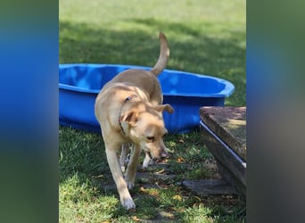 Winnie Piccolo: kleiner Charmeur sucht Dich