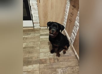 Axel, sucht eine aktive Familie….