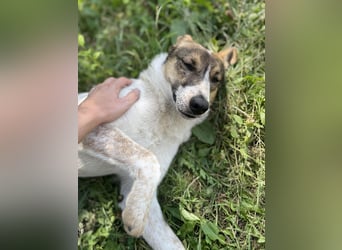 Aufgeschlossene Freya sucht liebe Familie