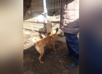 Estelle sucht ein Zuhause