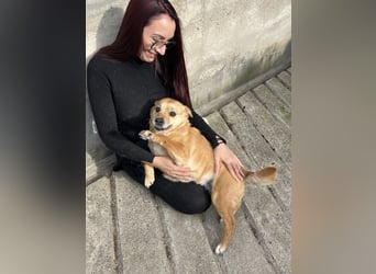 Susi - Ein Herz voller Dankbarkeit und Liebe