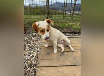 Niedliche GABRIELLA liebt Kuscheln und ist neugierig auf die Welt