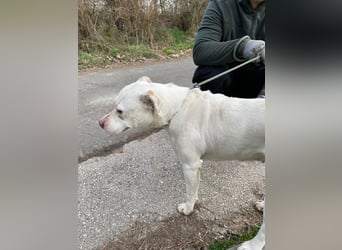 Berni auf der Suche nach ihren Menschen
