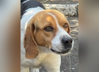 Lucky - Vier lange Jahre