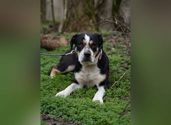 Vilma-BE, sucht einen sicheren Hafen!