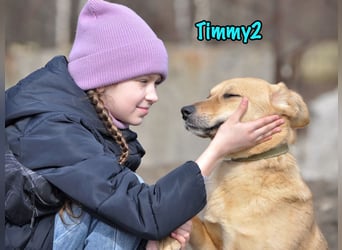 Timmy2 geb. 03/2023 - verspielter, aktiver und fröhlicher junger Rüde!