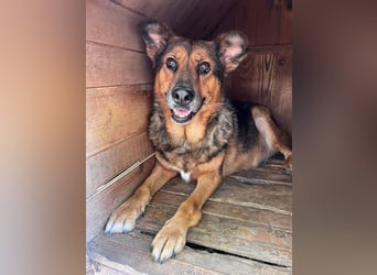 Mega verschmuste Seniorin Nikita