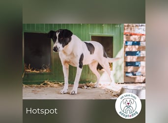 Hotspot: Ein Herz voller Hoffnung