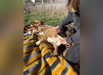 Erszi, Knutschkugel möchte gerne Kuscheln