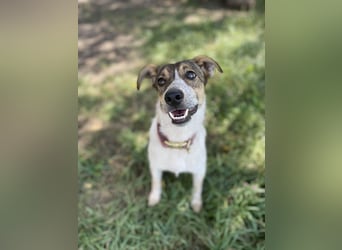 Aufgeschlossene Freya sucht liebe Familie