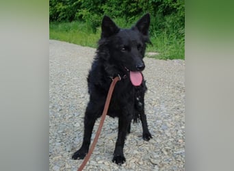 Schmusige Kaja ❤️ sucht Liebe, Sicherheit