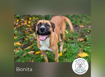 Bonita: Deine neue Wegbegleiterin?