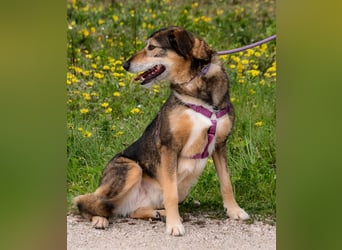 Emily – sucht nach Geborgenheit