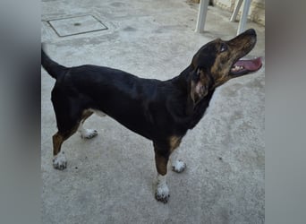 Arturo - junger Gutelaune-Bub