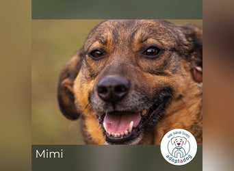 Mimi: Mit einem Lächeln ins Glück
