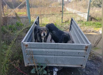 LOBITO